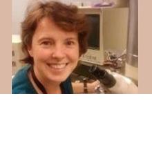 Thumbnail photo of Patricia Goggin